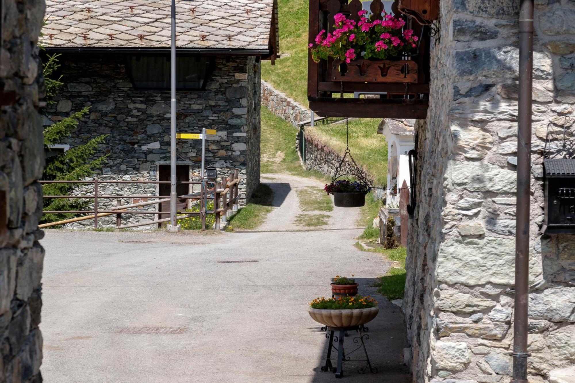 Hellochalet - Chalet Grene Typical House With Garden - 1Km Cabelcar Valtournenche Exterior photo